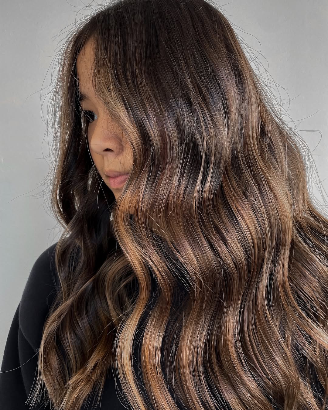 Brown Color Melt with Lowlights