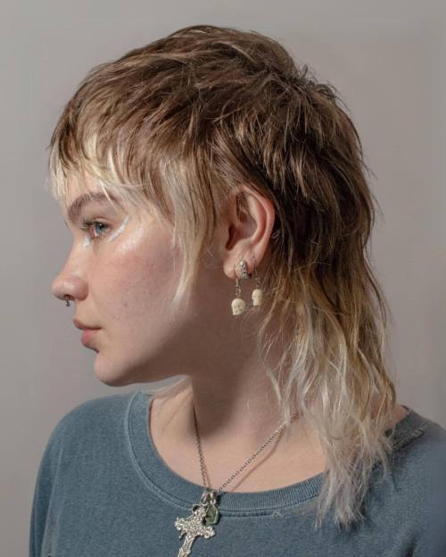 Thin Hair Mullet with Long Nape