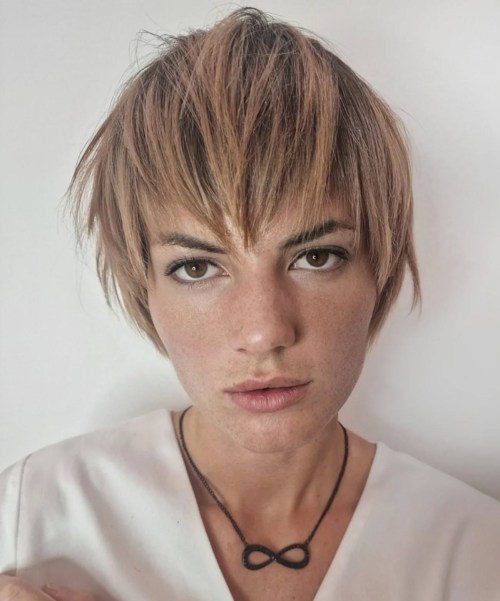 Edgy Straight Choppy Bixie Cut