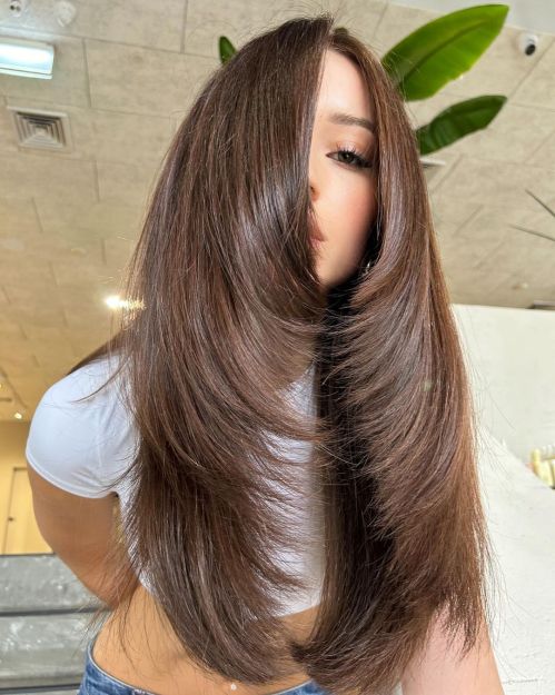 So Lovely Nutty Brown with Highs and Lows