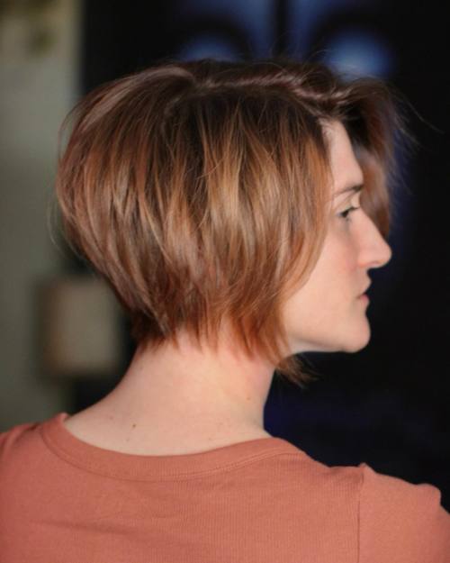 Soft Jaggy Toffee Brown Pixie Bob